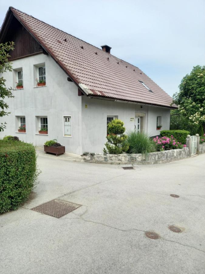 Apartmaji Magda Apartment Zgornje Gorje Екстериор снимка